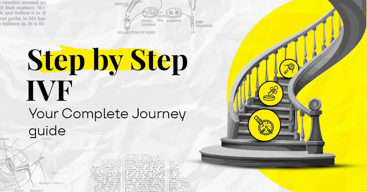 IVF Step-by-Step
