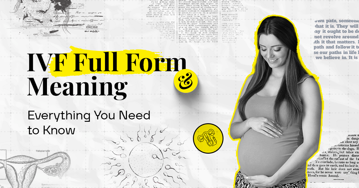 Everything You Need to Know